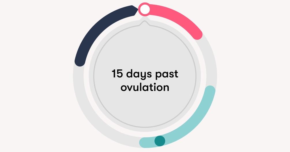 15 Dpo Are There Any Pregnancy Symptoms At 15 Days Past Ovulation 